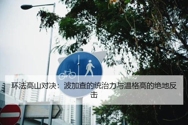 环法高山对决：波加查的统治力与温格高的绝地反击